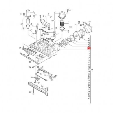 Gasket 1