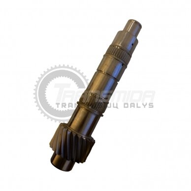 Output shaft