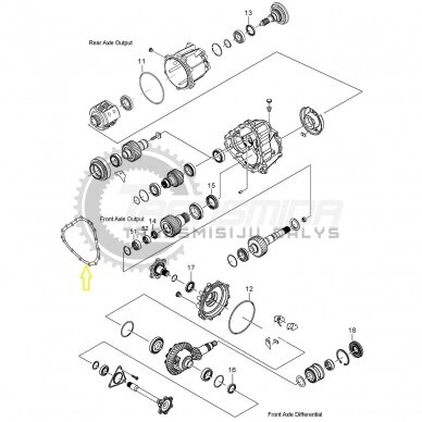 Gasket 1