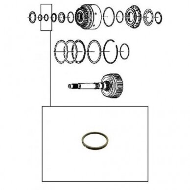 Teflon ring 1