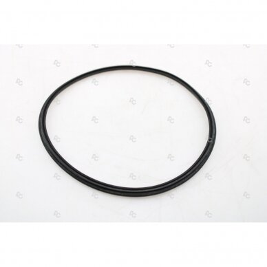 Sealing ring