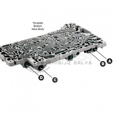 Accumulator Piston Kit 4