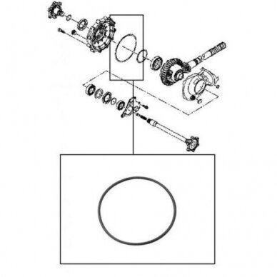 O-Ring 2