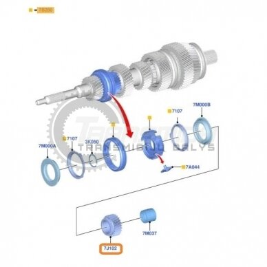 Gear wheel 1