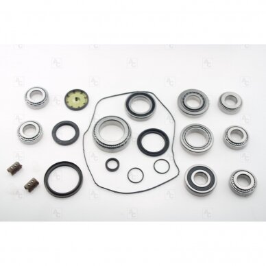 Bearing and seal kit