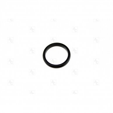 O-ring