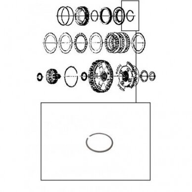 Sicherungsring 1