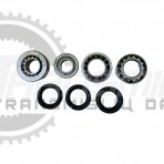 Bearing and seal kit