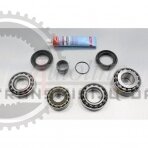 Bearing and seal kit