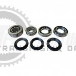 Bearing and seal kit