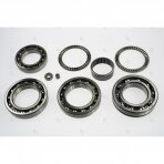 Bearing kit