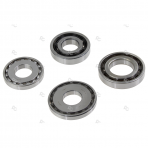 Bearing kit