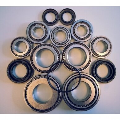 Bearing and seal kit