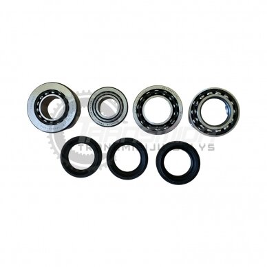 Bearing and seal kit 1