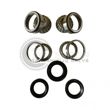 Bearing and seal kit