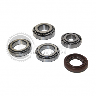 Bearing and seal kit