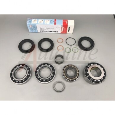 Bearing and seal kit