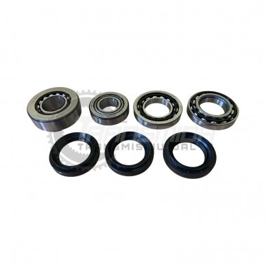 Bearing and seal kit