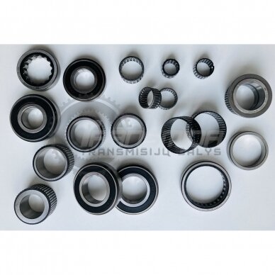 Bearing kit 1