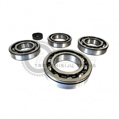 Bearing kit