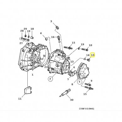 Screw Plug 2