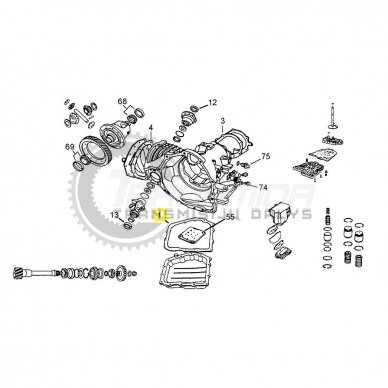 Pan Gasket 1