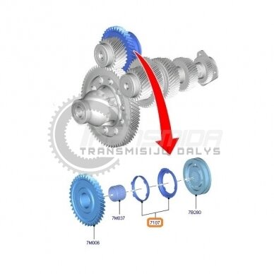 Synchronring 1