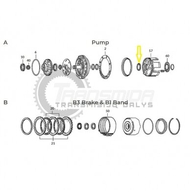 O-ring 1