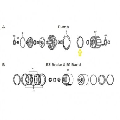 O-Ring 1