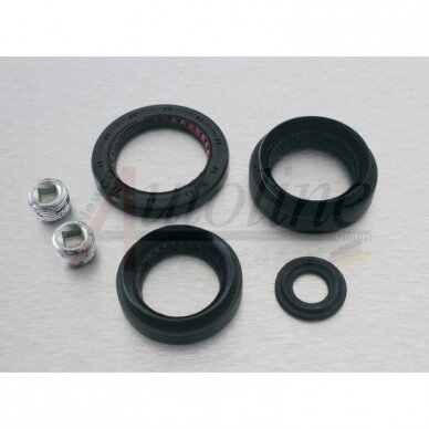 Gasket Kit