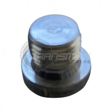 Screw Plug 1