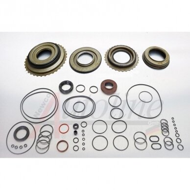 Overhaul Kit with Pistons