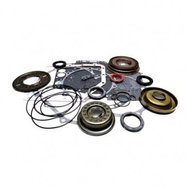 Overhaul Kit with Pistons