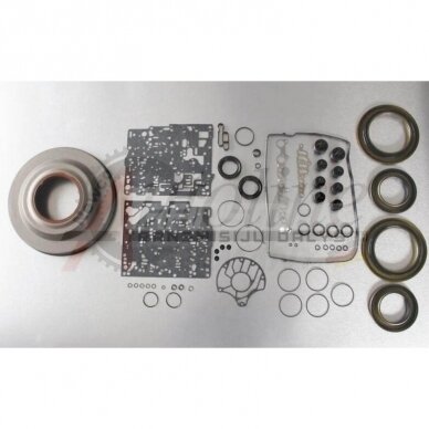 Overhaul Kit with Pistons