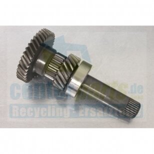 Input shaft