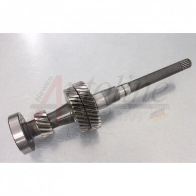 Input shaft