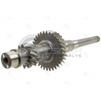 Input shaft