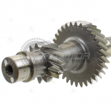 Input shaft 2