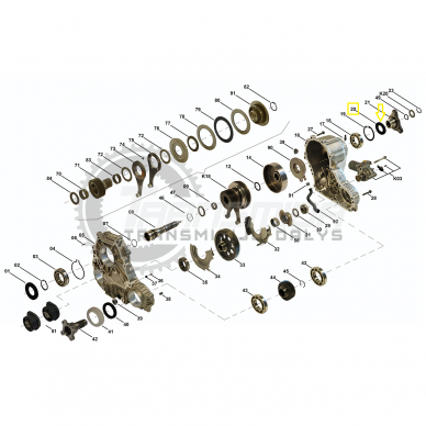 Radial Seal Ring