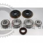 Bearing and seal kit