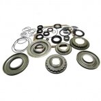 Overhaul Kit with Pistons