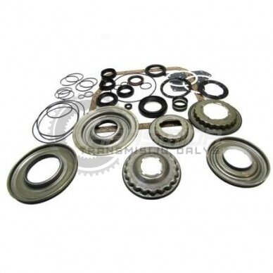 Overhaul Kit with Pistons