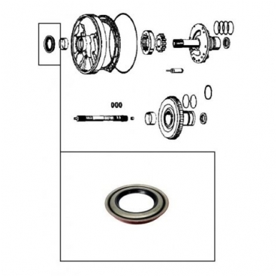 Radial seal 1