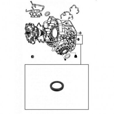 Dichtring 1