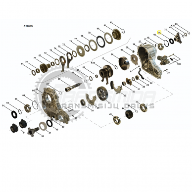 Radial Seal 2