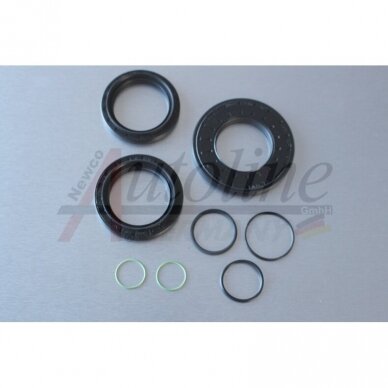 SEALING RING KIT