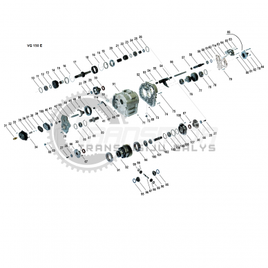 Sealing ring 1