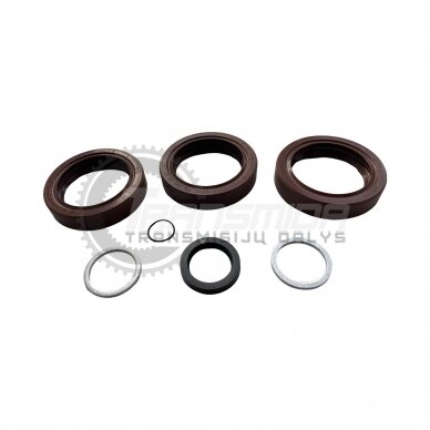 Sealing ring 2