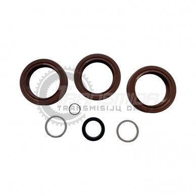 Sealing ring