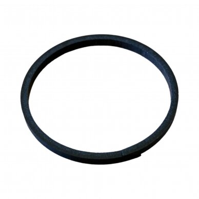 Sealing ring